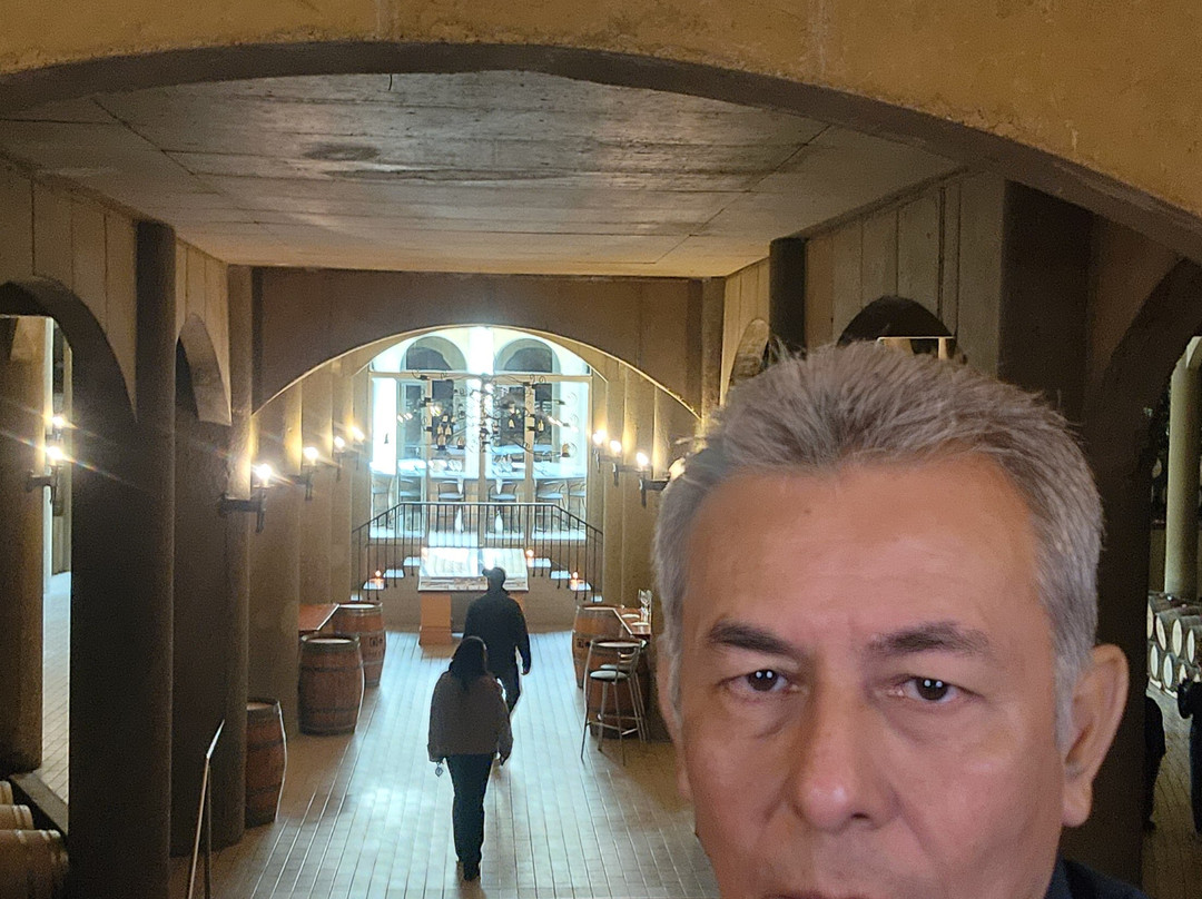 Viña Haras de Pirque-Pirque必去景点