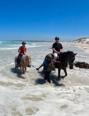 Gansbaai & Pearly Beach Horse Trails-干斯拜必去景点
