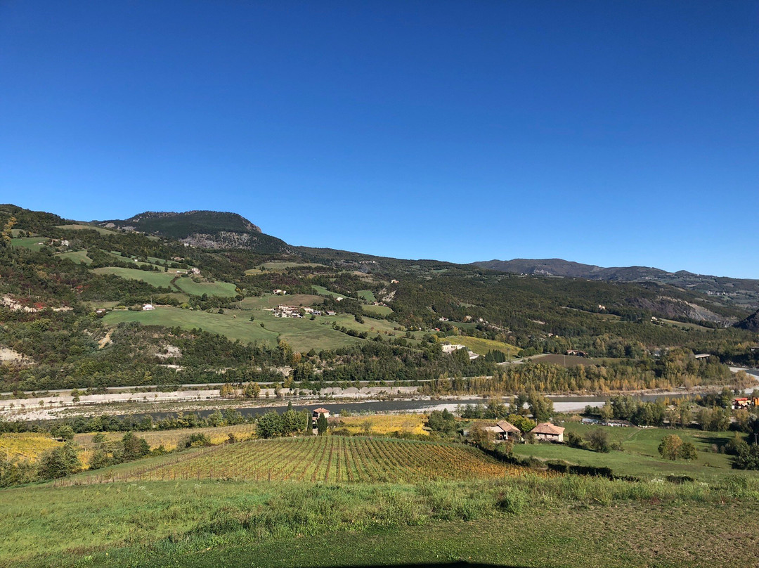 Relais Sant'Ambrogio Agriturismo主图