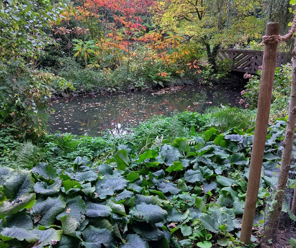 Museum Insel Hombroich-诺伊斯必去景点