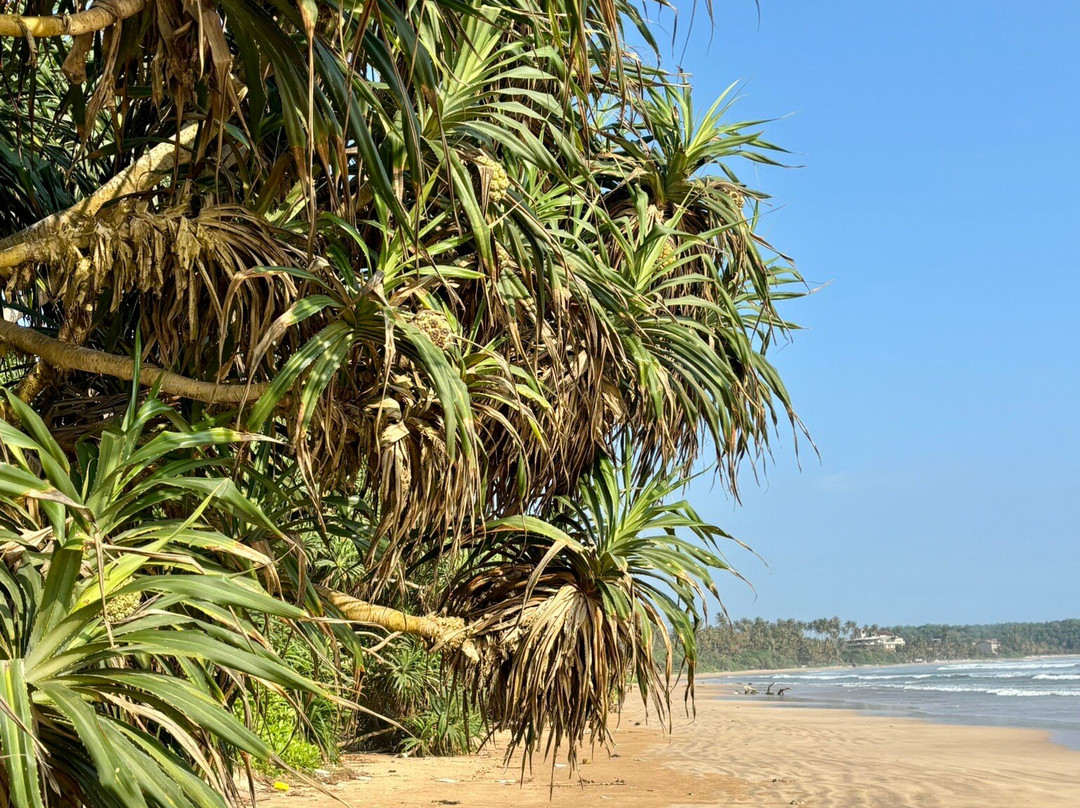 Apple Vacations Sri Lanka-Wattala必去景点