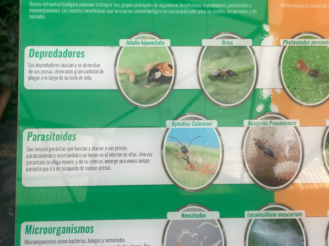 Clisol Turismo Agricola-艾尔艾吉多必去景点