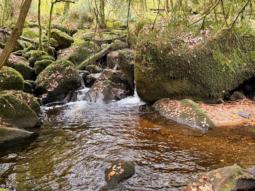 Becky Falls-Manaton必去景点