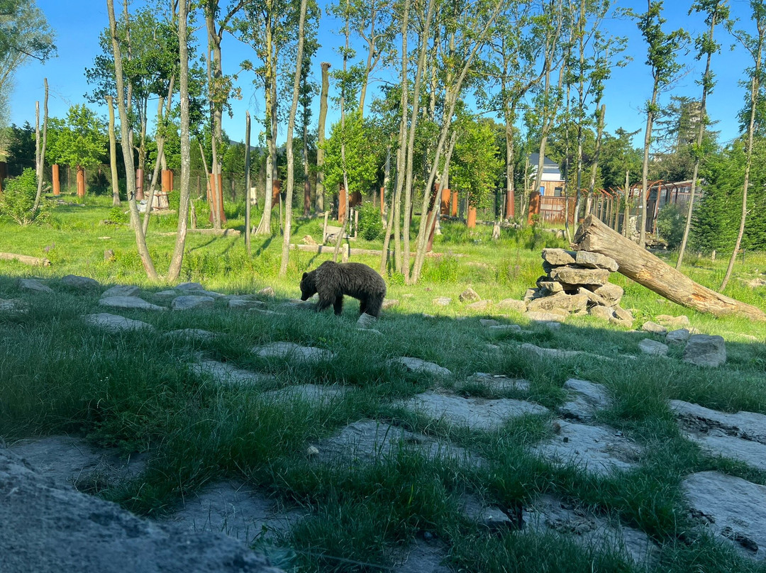 Pairi Daiza Resort主图