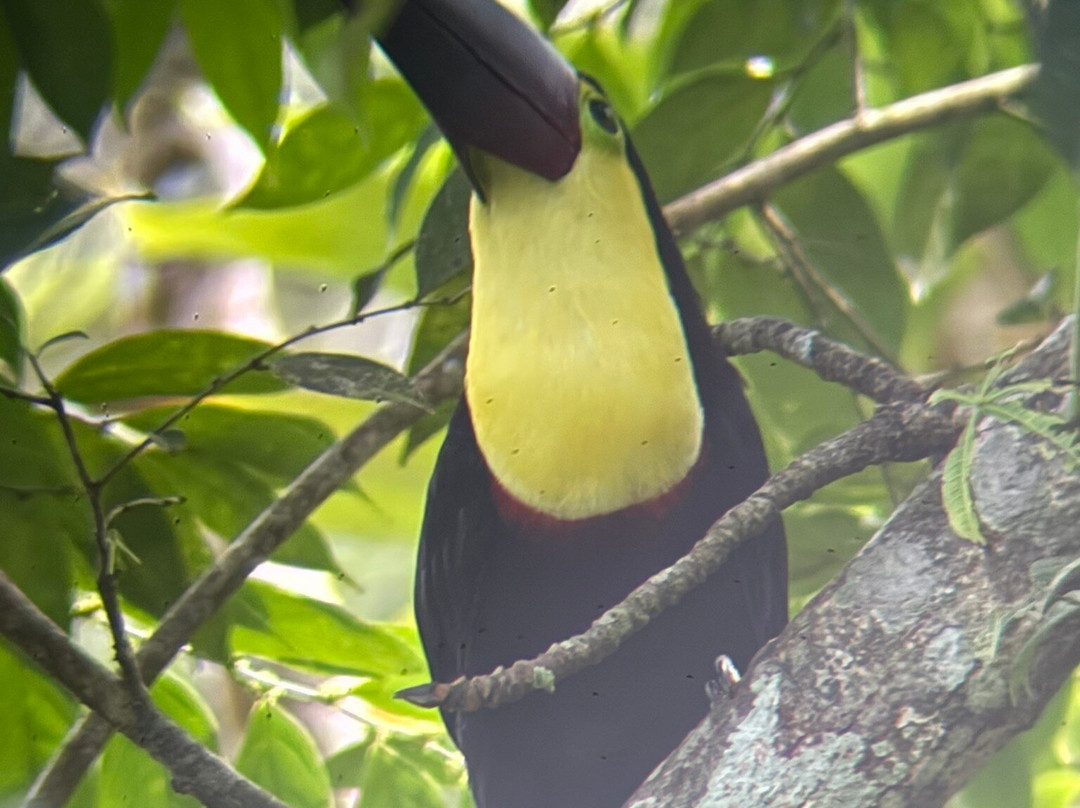 Life Time Travel-萨迪纳尔必去景点