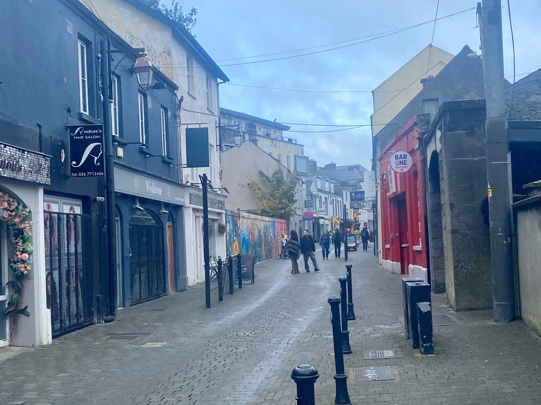 Setanta Chauffeur Tours-Longford必去景点