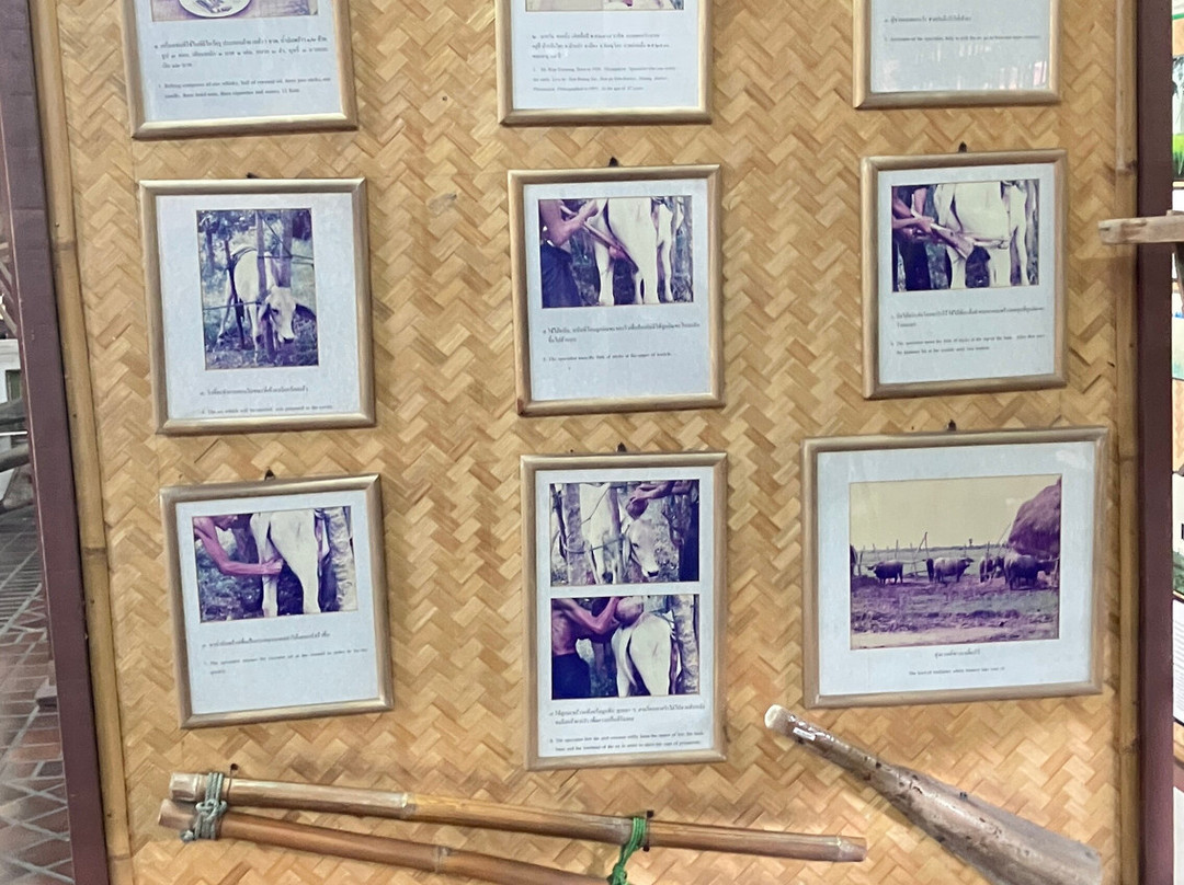 Sgt. Maj. Thawee Folk Museum-彭世洛必去景点