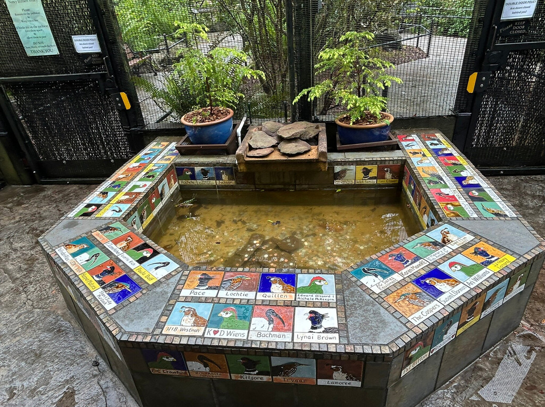 Sequoia Park Garden-尤里卡必去景点