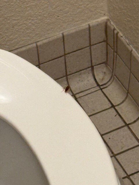 Super 8 by Wyndham Deerfield/Northbrook主图