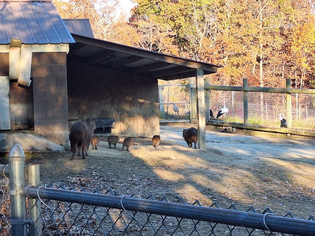 Metro Richmond Zoo-Moseley必去景点