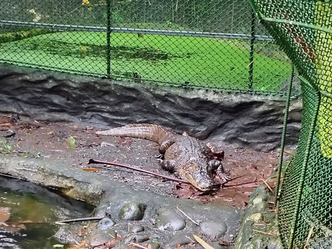 Natura Eco Park Costa Rica-福德圣卡洛斯必去景点
