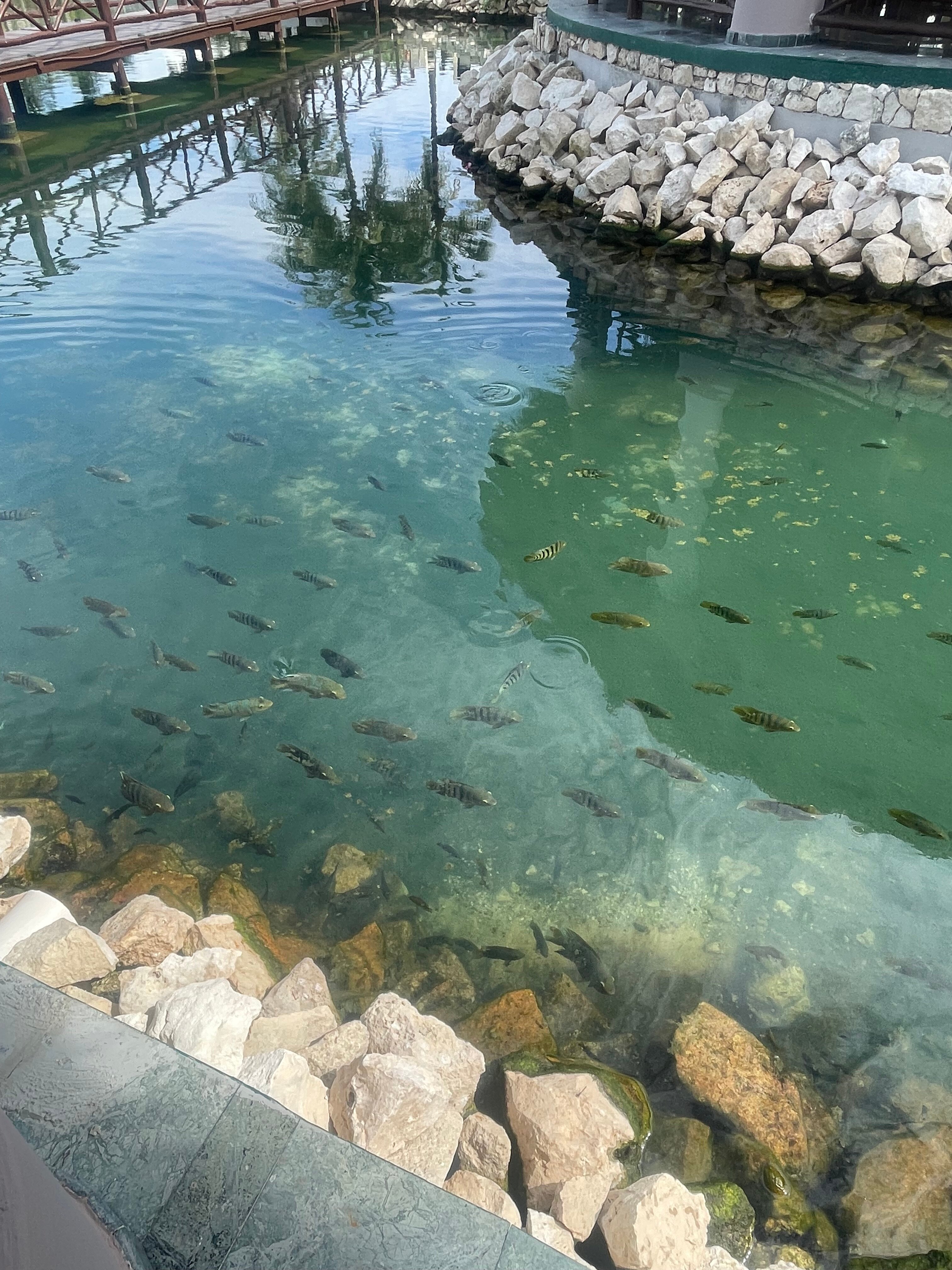 TRS Yucatan Hotel-官方