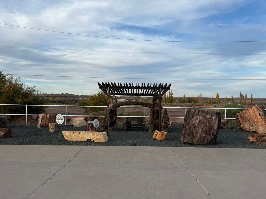 Jim Gray's Petrified Wood Co.-霍尔布鲁克必去景点