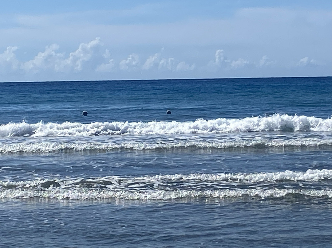 Jovanov Winery-Blato必去景点