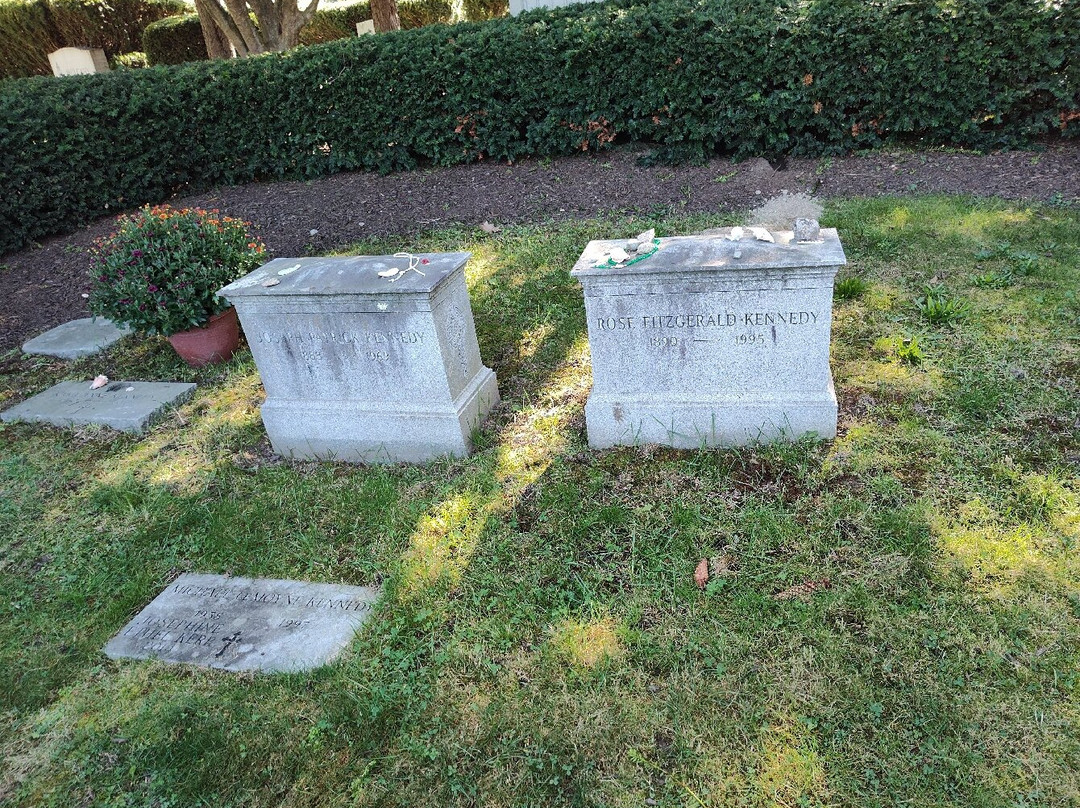 Holyhood Cemetery-布鲁克莱恩必去景点