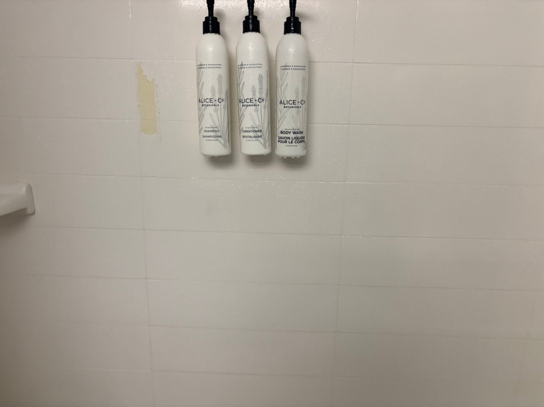 Fairfield by Marriott Inn & Suites Tyler主图