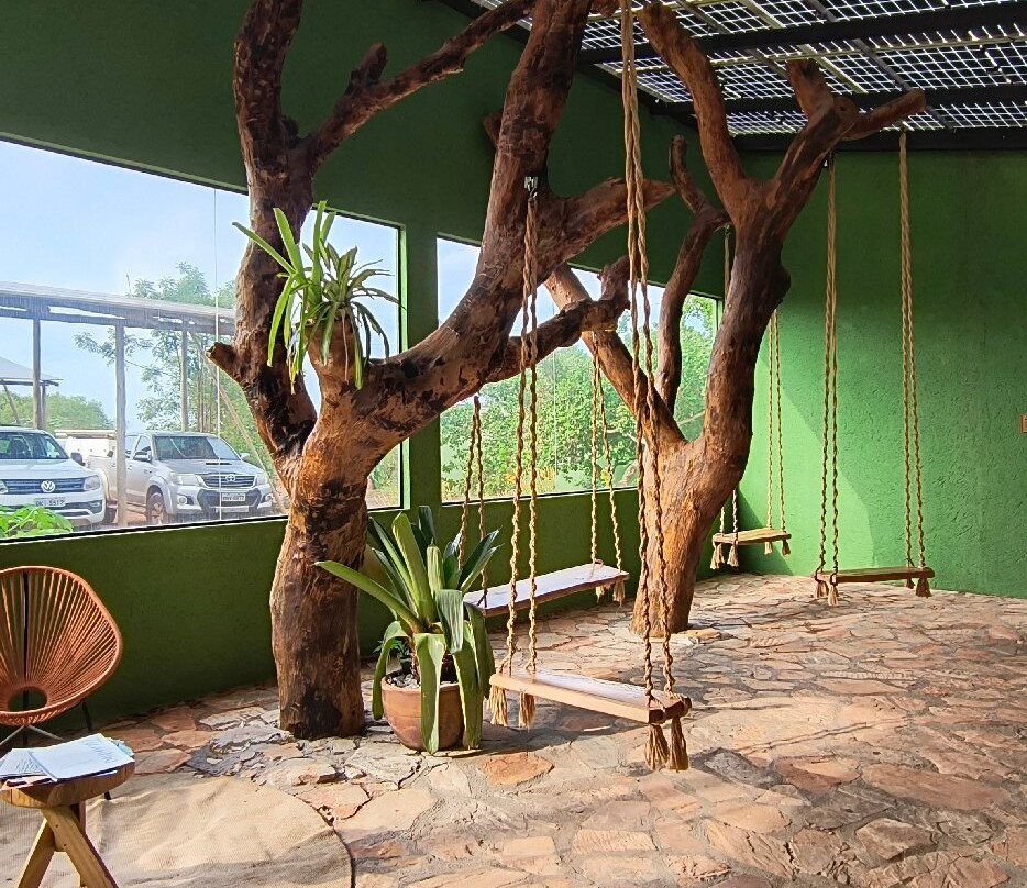 Cerrado Rupestre-Palmas必去景点