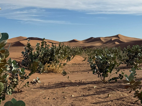 Voyage Desert Mhamid-迈哈米德必去景点