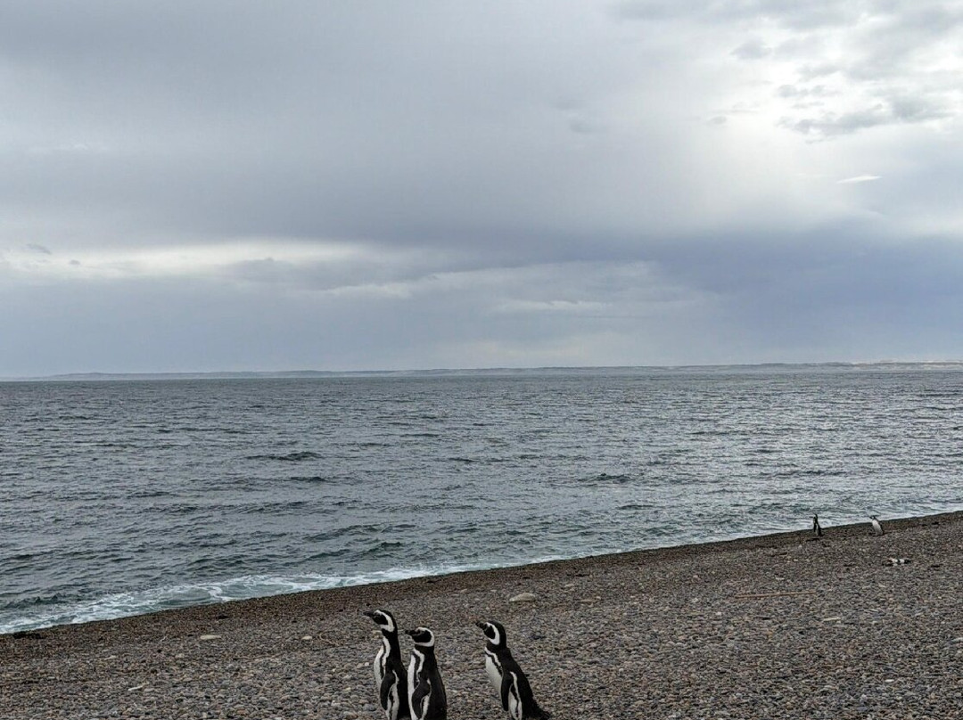 El Pedral-Punta Ninfas必去景点