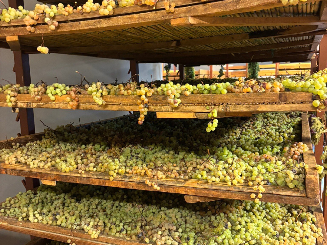 Azienda Agricola Giuseppe Quintarelli-Negrar di Valpolicella必去景点