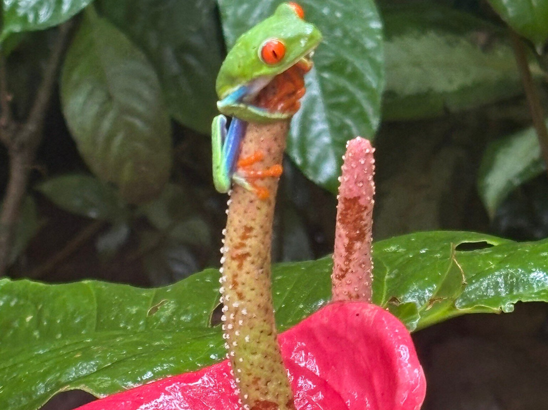 Matt's Fishing & Tours-萨迪纳尔必去景点