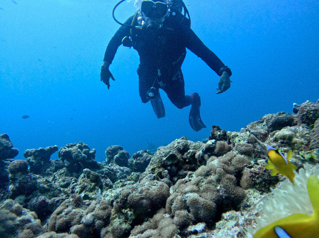 Dive Point Jeddah-吉达必去景点