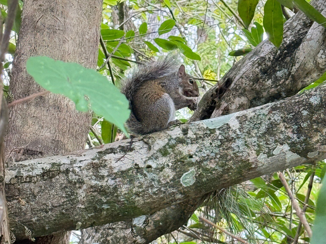 螺旋沼泽鸟兽禁猎区-那不勒斯必去景点