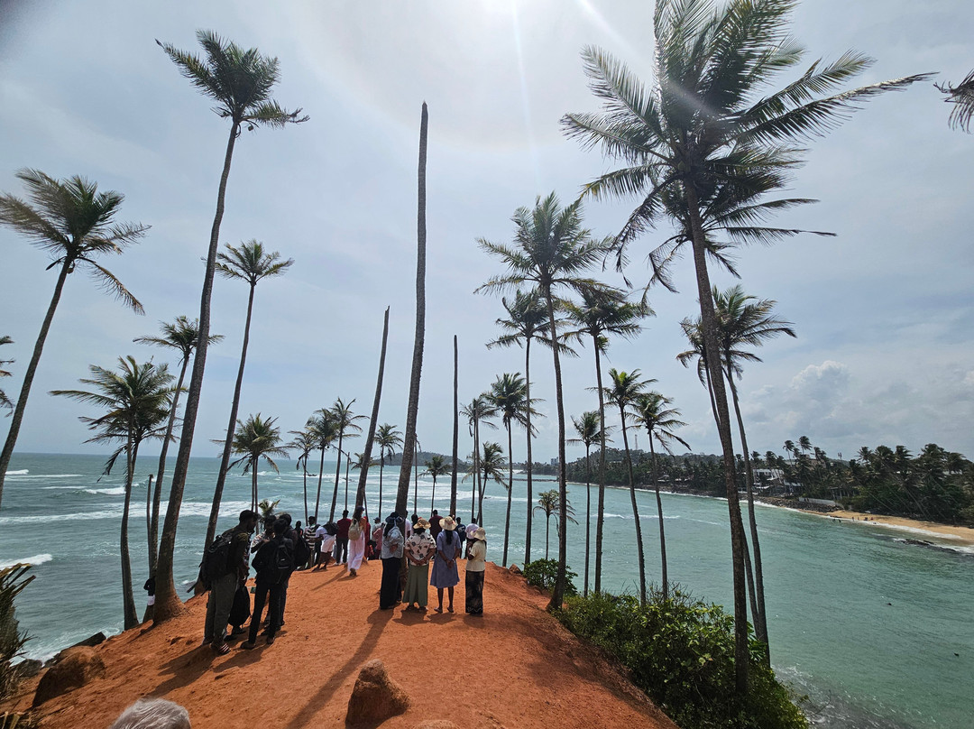 Coconut Tree Hill-美蕊沙必去景点