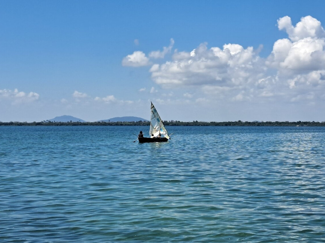 Wasini Trips-Wasini Island必去景点