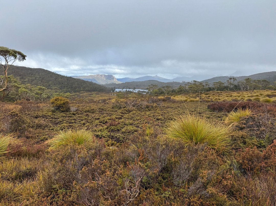 Wild Island Adventure Hire-朗塞斯顿必去景点