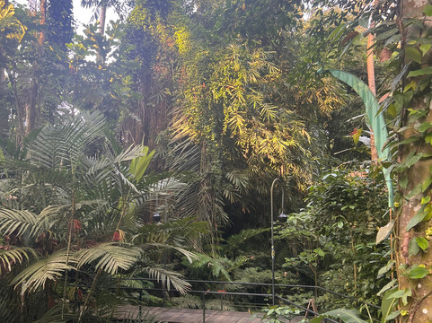 Sacred Canyon Ubud by GenuineHost