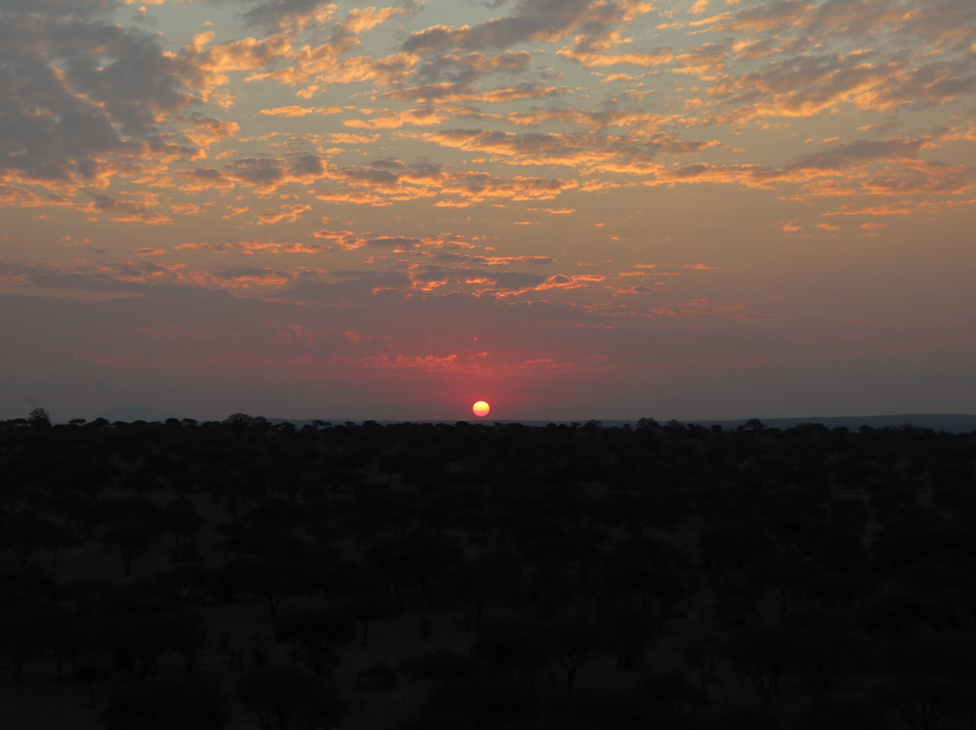RA Safaris-阿鲁沙必去景点