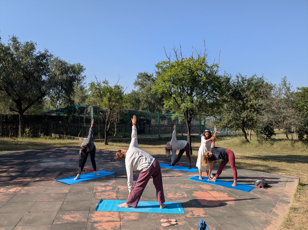 萨维斯塔度假村主图