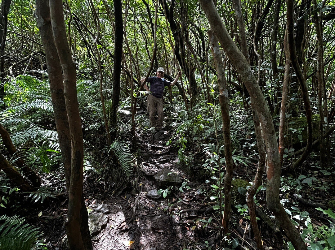 Seven falls Mauritius-Henrietta必去景点