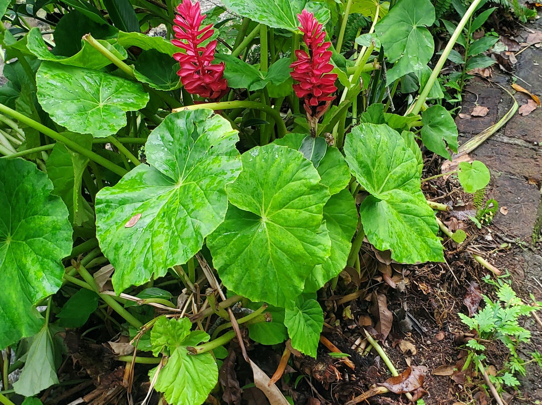 Konoko Falls & Park-奥乔里奥斯必去景点