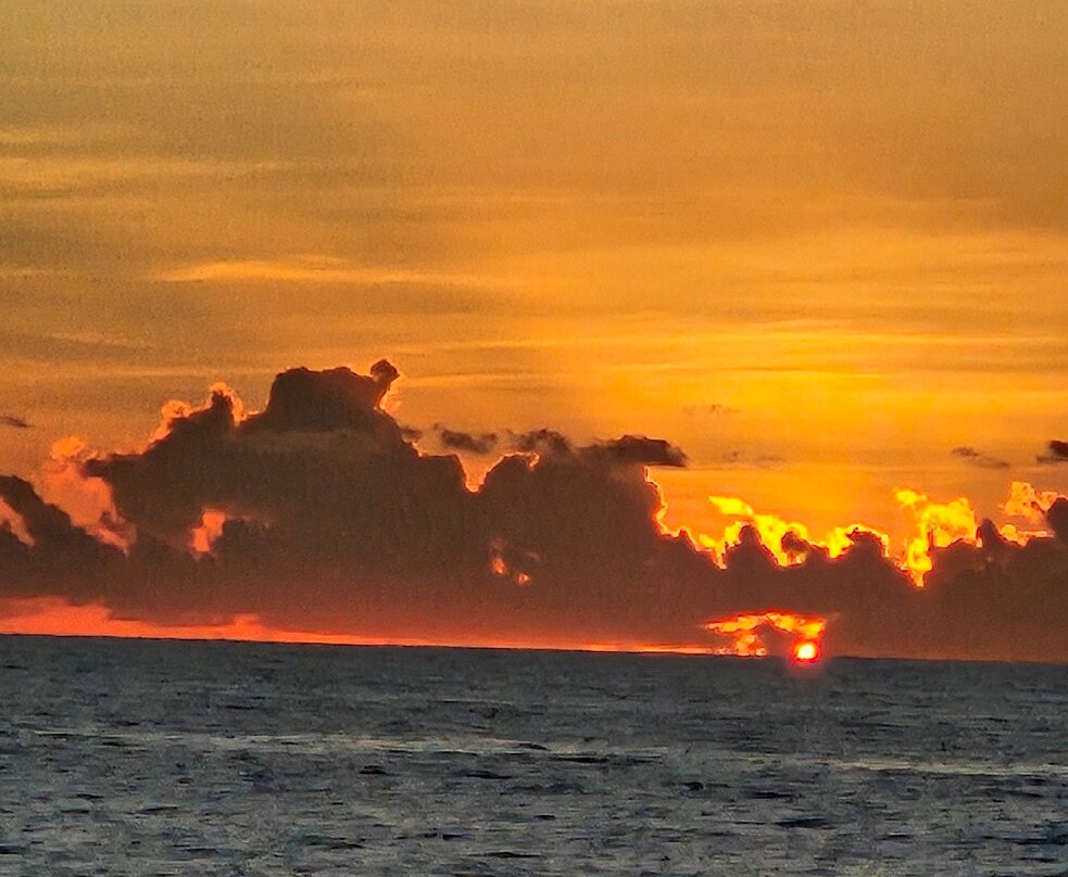 Le Jardin Tropical主图