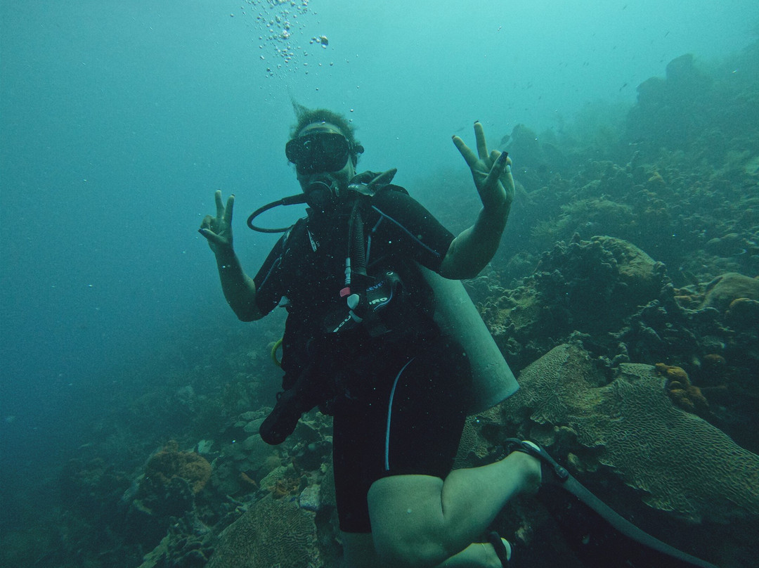 Tobago Dive Experience-Speyside必去景点
