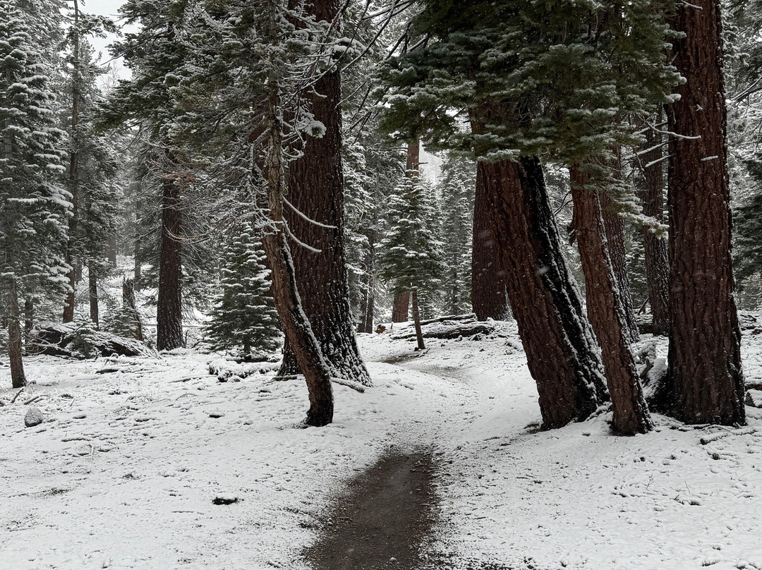 村庄小屋酒店主图