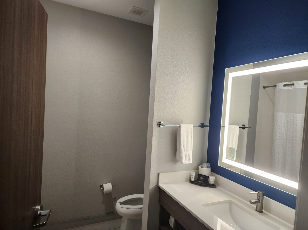 La Quinta Inn & Suites by Wyndham Valdosta主图