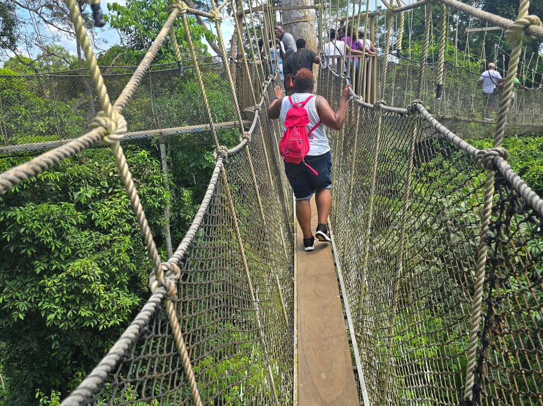 Awuni Tours Ghana-阿克拉必去景点