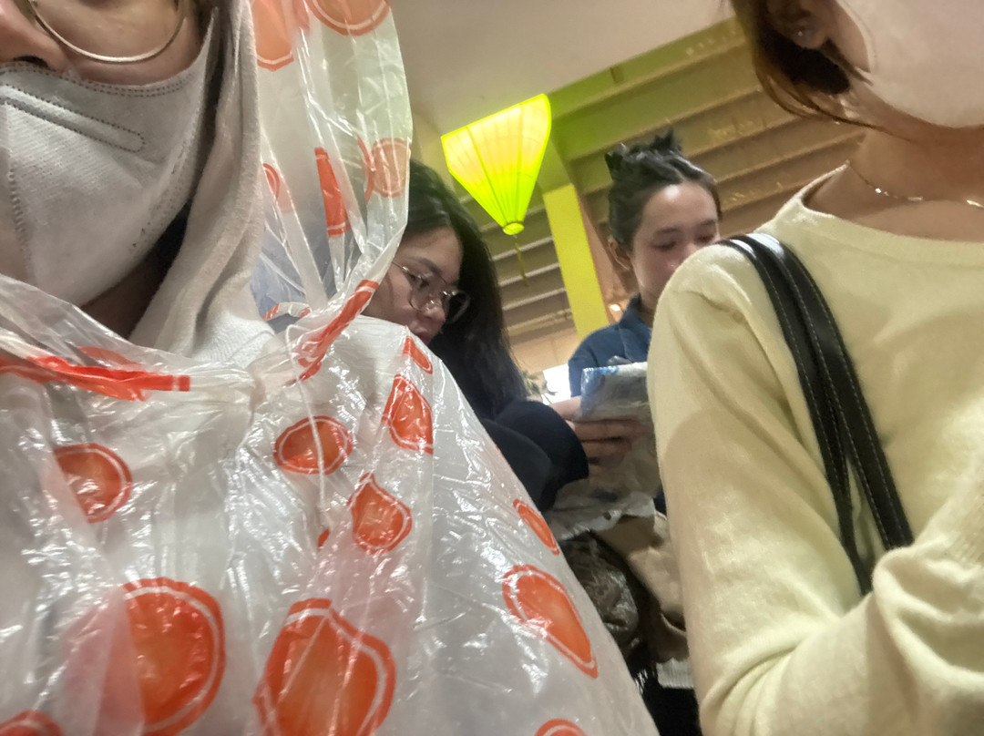 Hoi An Memories Land-会安必去景点