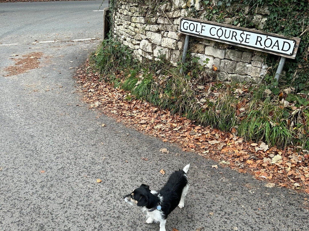 Painswick Beacon-Painswick必去景点