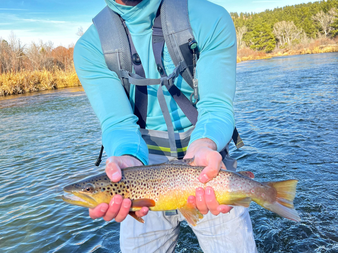 Minturn Anglers Fly Fishing-韦尔必去景点