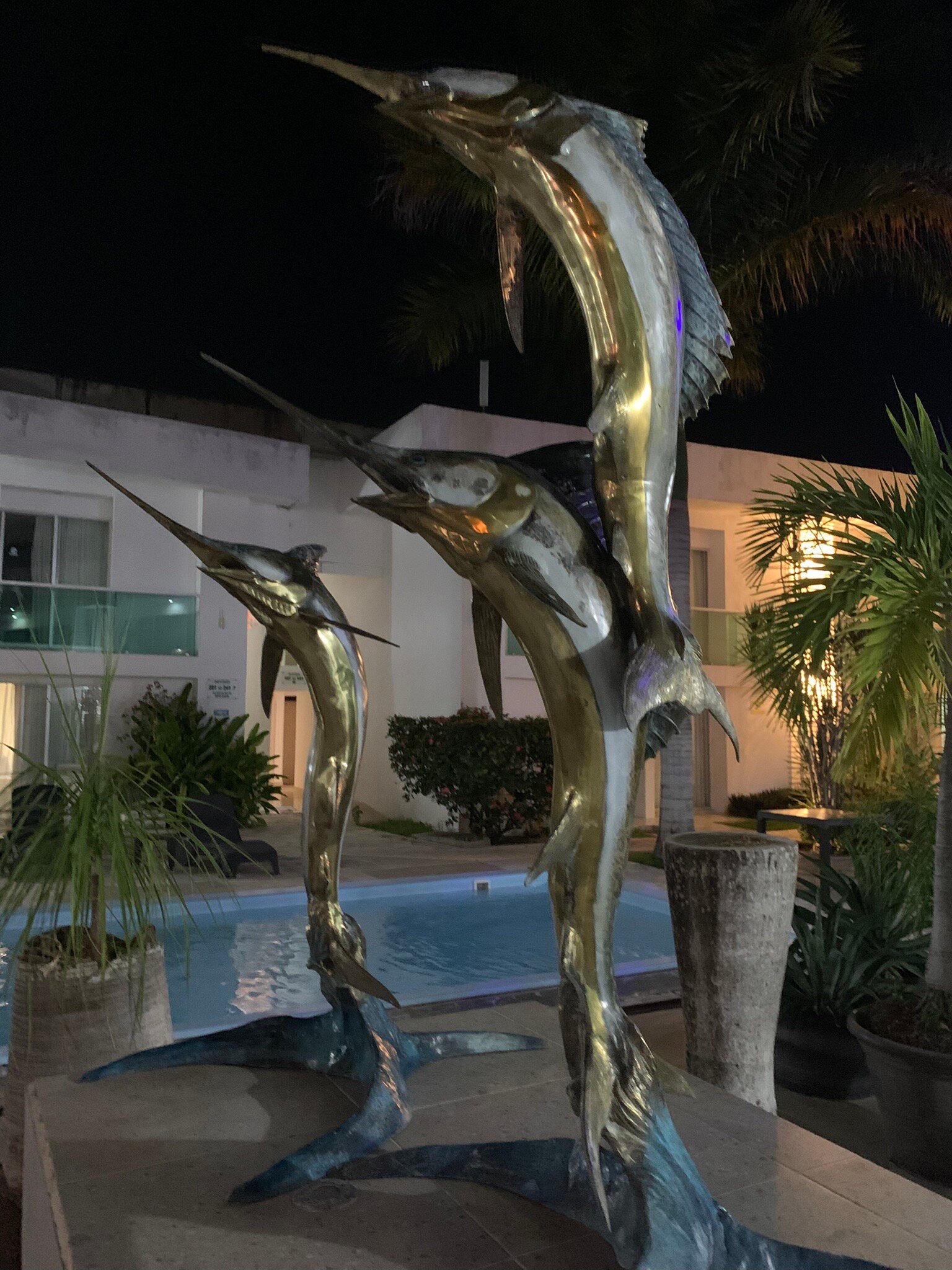 Hotel Los Cocos-官方