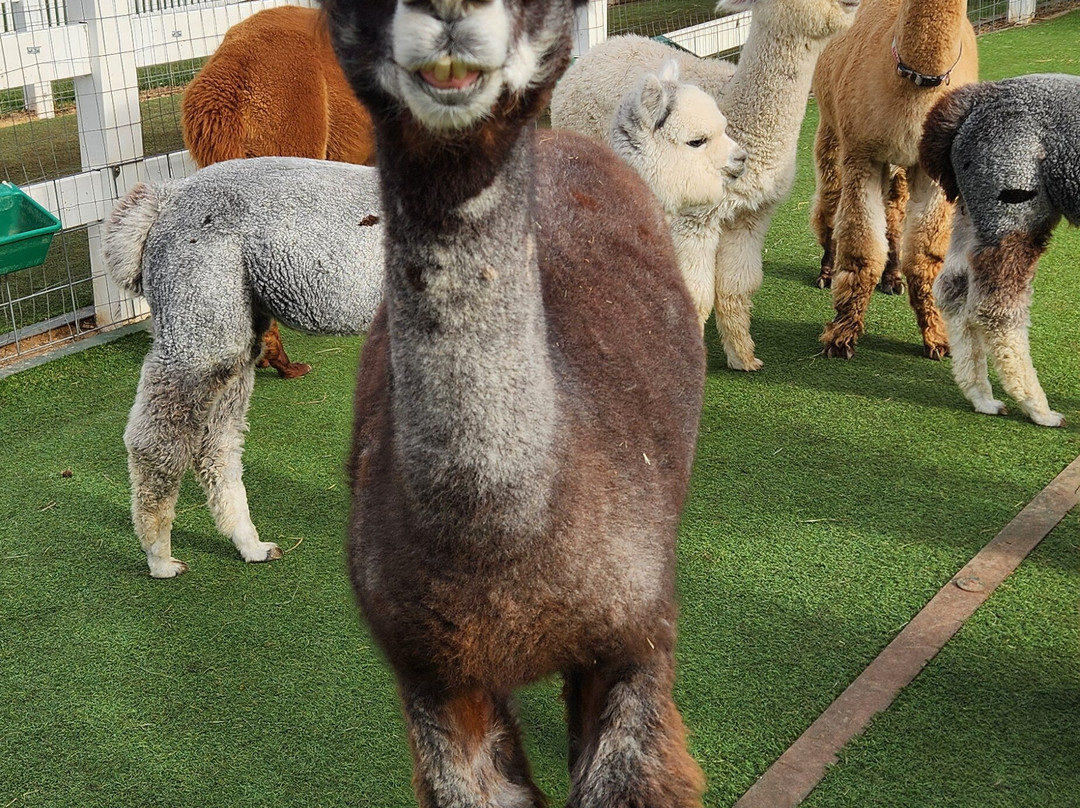 Eagle Eye Farm-River Falls必去景点