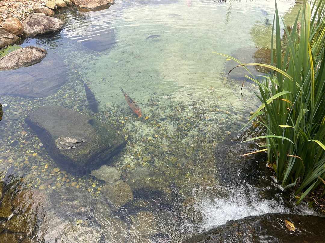 Vinicola Goes-Sao Roque必去景点