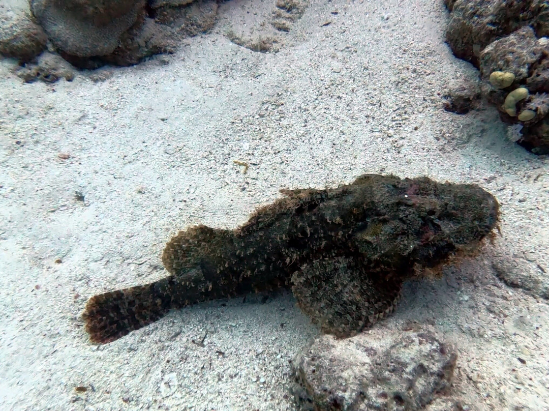 SunGo Tours-Hurghada 1必去景点