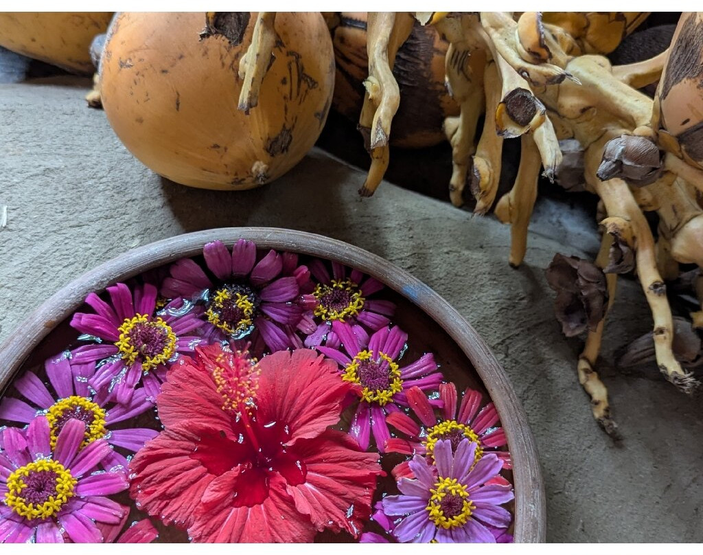 Ulpotha Yoga Retreat & Ayurveda Resort-Ulpotha Village必去景点