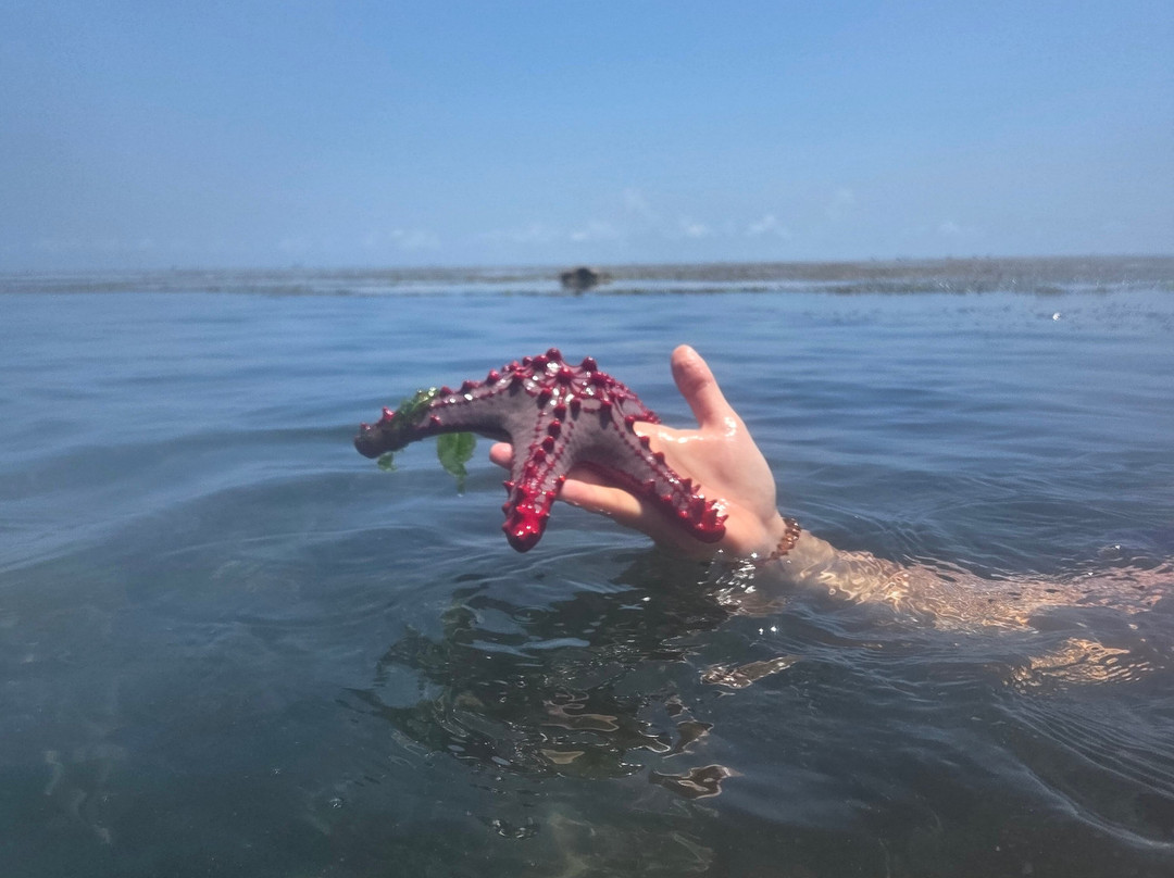 Natural Pool Tiwi African Pool Map.-迪亚尼必去景点