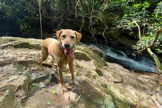 Fazenda Wolff-Rolante必去景点